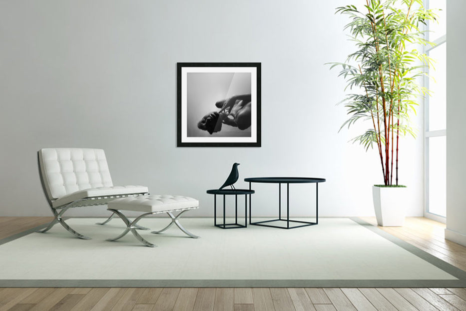 Framed Print