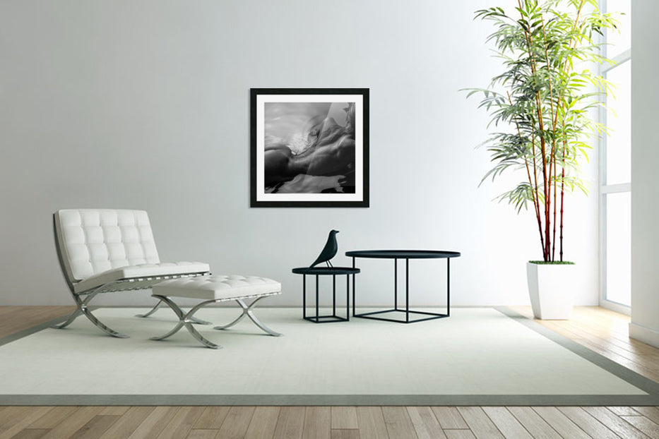 Framed Print