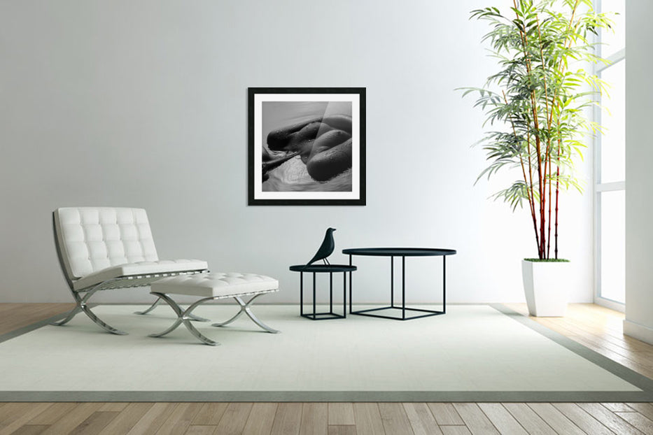 Framed Print