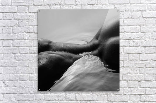 Acrylic Print