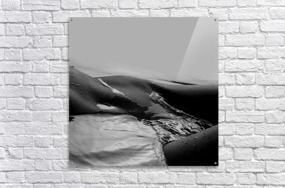 Acrylic Print