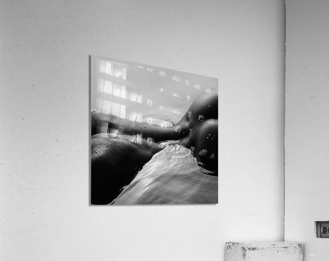 Acrylic Print