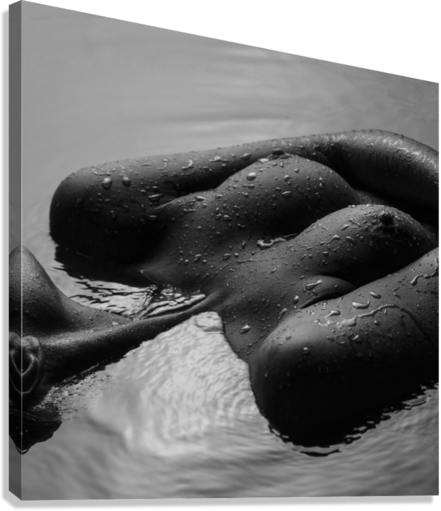 Giclée Stretched Canvas Print