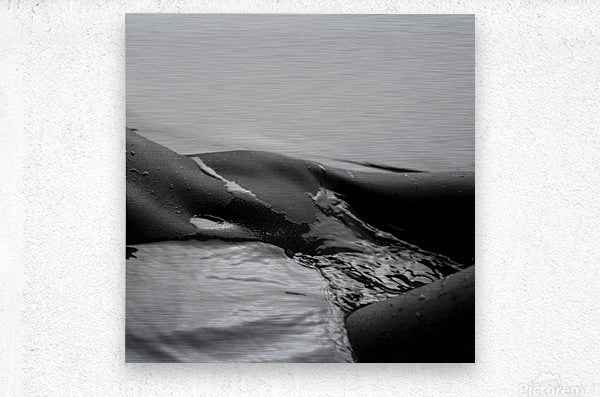 Brushed Metal Print