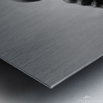 Brushed Metal Print