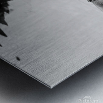 Brushed Metal Print