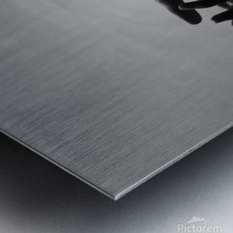 Brushed Metal Print