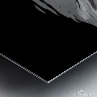 Brushed Metal Print