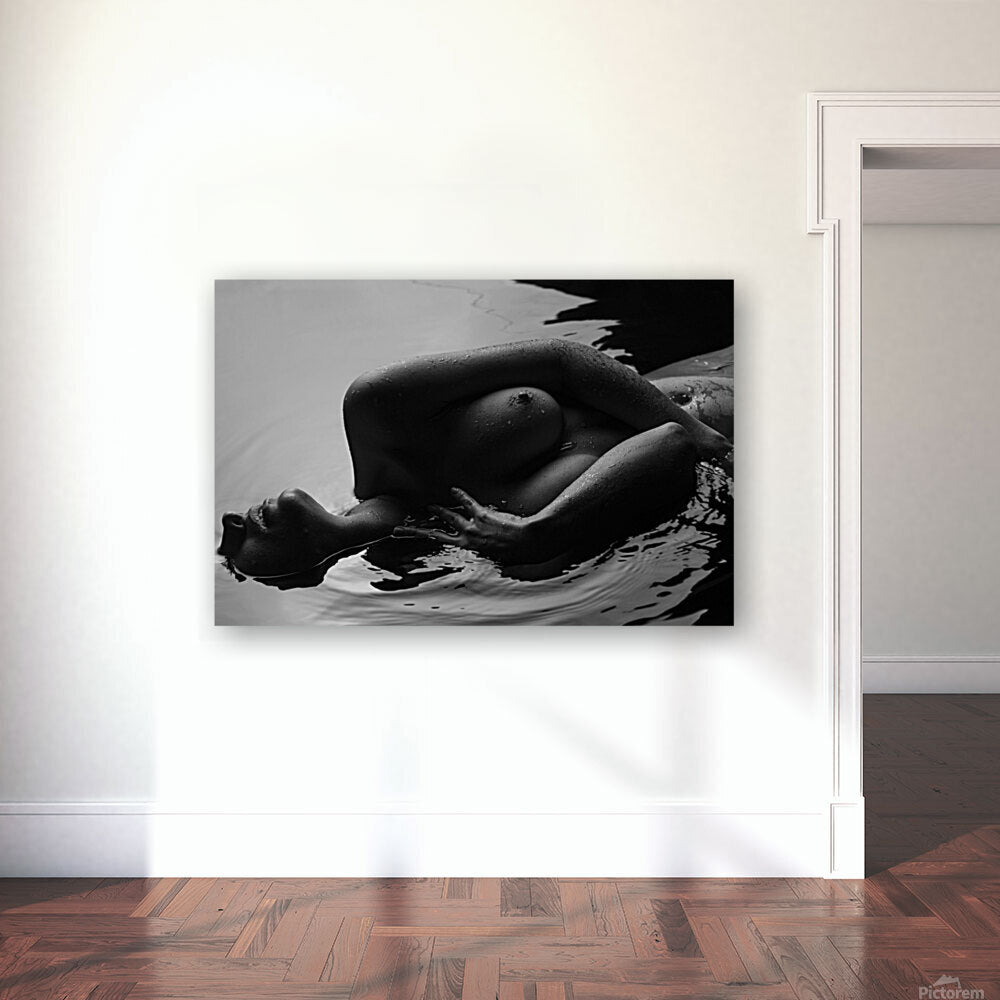 Giclée Stretched Canvas Print