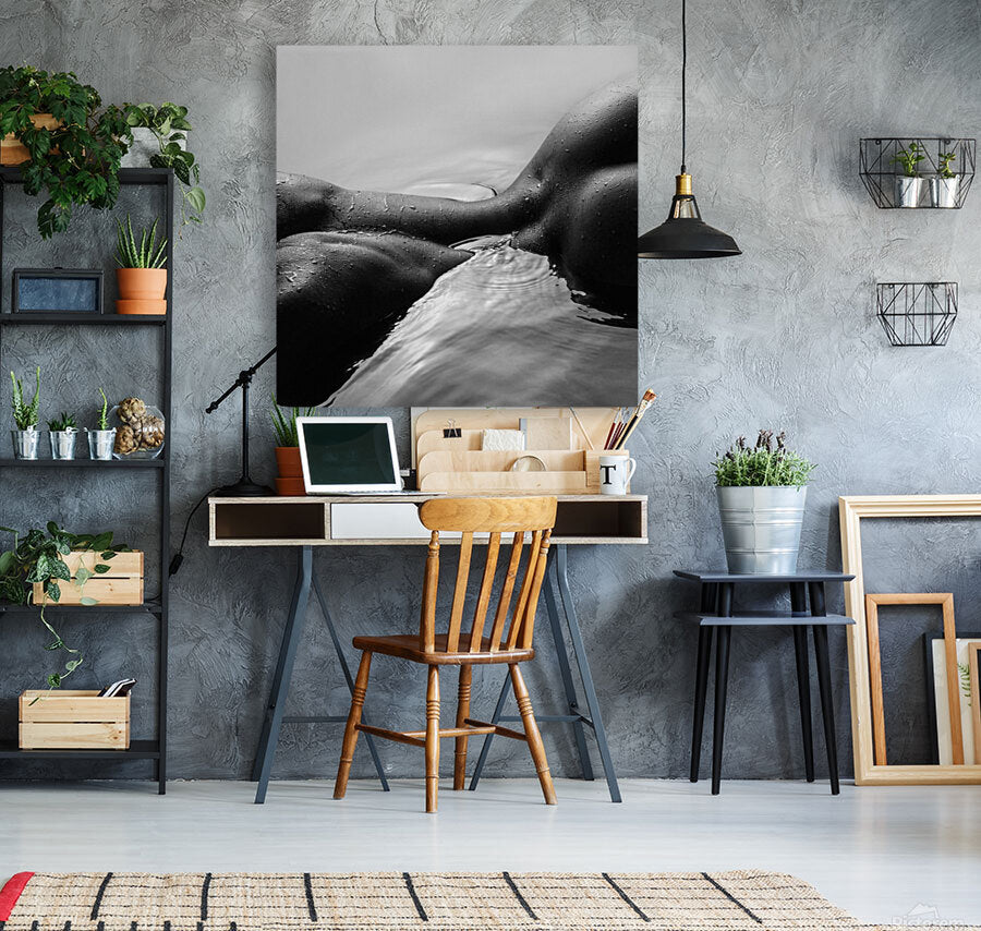 Giclée Stretched Canvas Print
