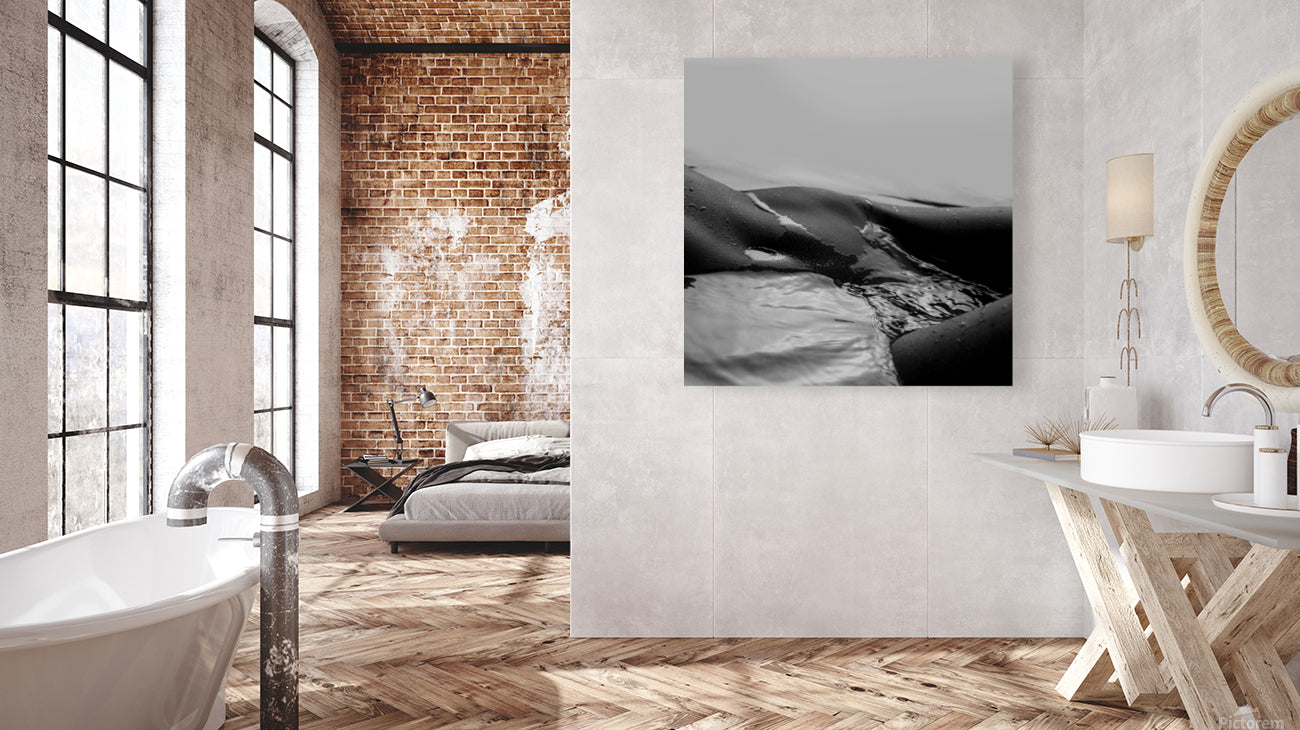 Giclée Stretched Canvas Print