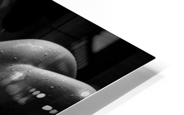 HD Sublimation Metal Print