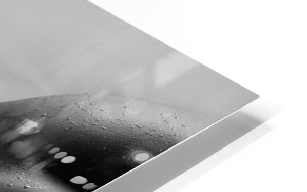 HD Sublimation Metal Print