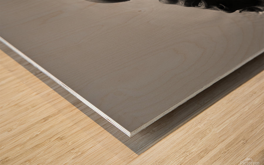 Wood Print
