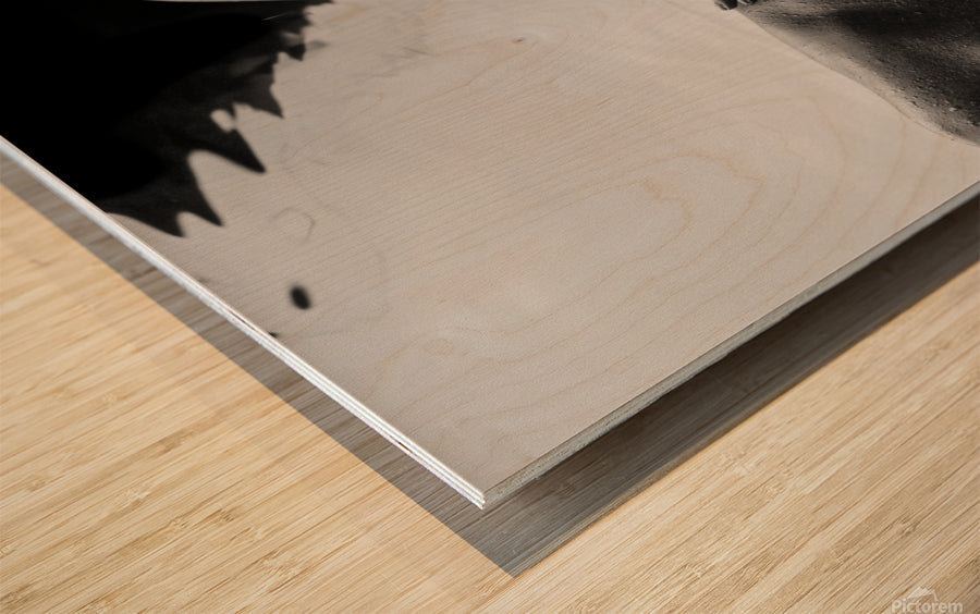 Wood Print
