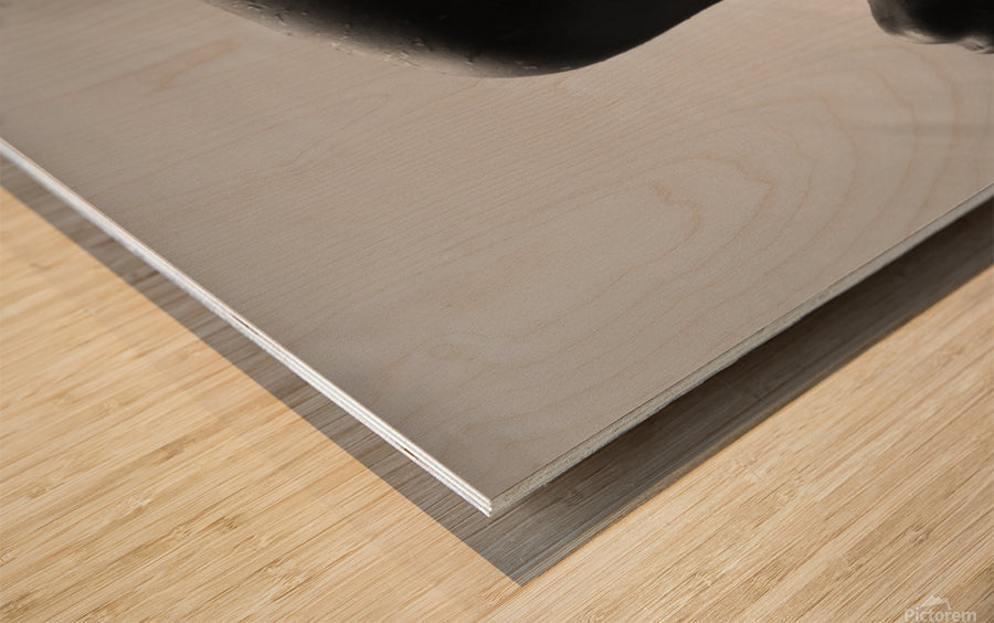 Wood Print