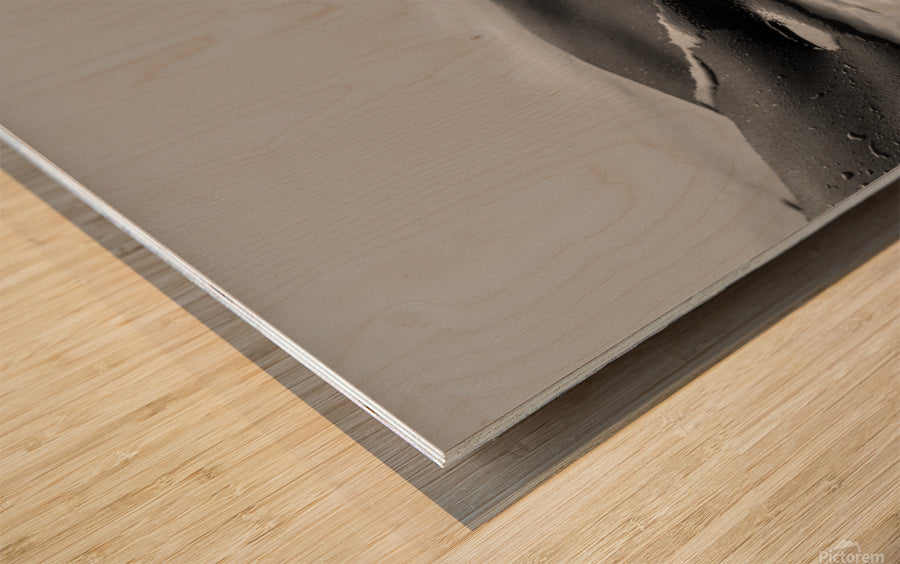 Wood Print