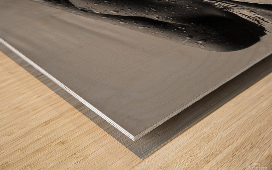 Wood Print