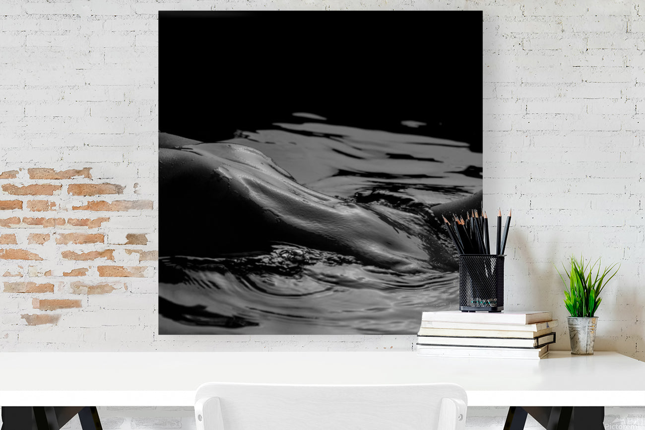 Giclée Stretched Canvas Print